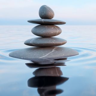 Equilibrio del Sistema Urinario